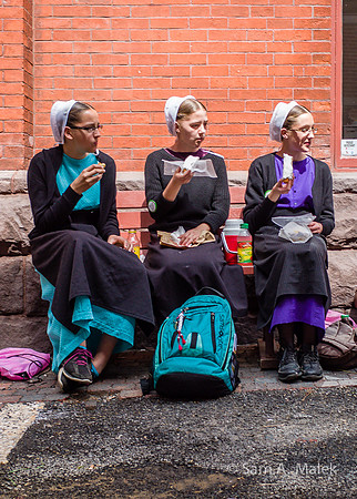 Amish Girls no.