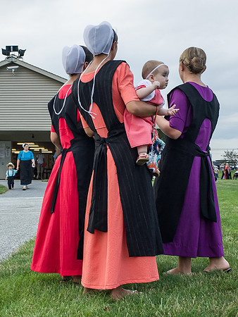 Amish Girls no. 17