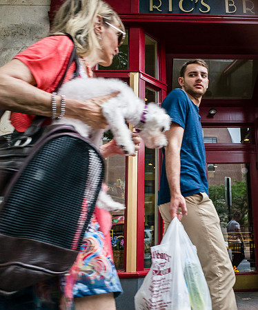 Woman & Attack Poodle