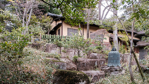 Nezu Garden
