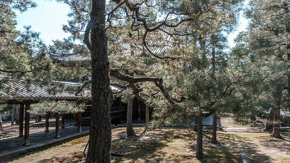 Daitoku-ji Temple