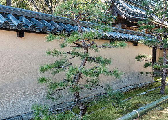 Daitoku-ji Temple