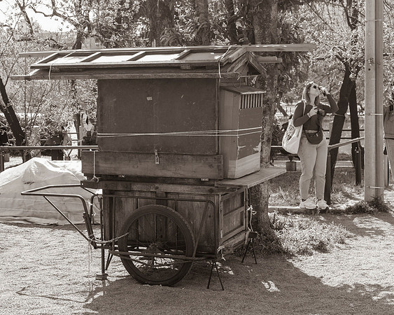 Ueno - Shinobazu-no-ike Bentendo Temple
