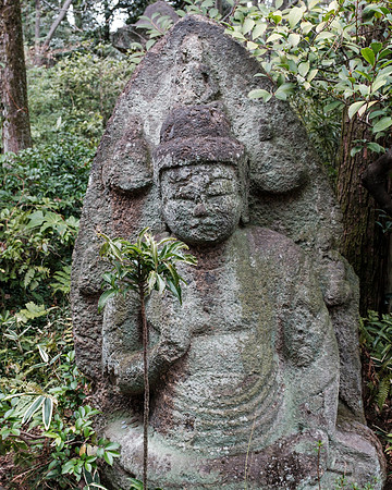 Nezu Garden