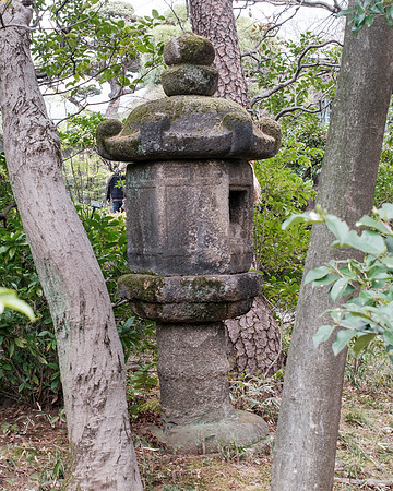 Nezu Garden