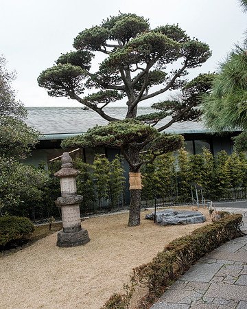 Nezu Garden