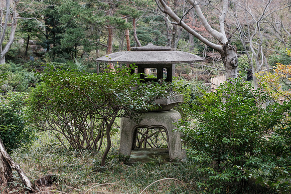 Nezu Garden