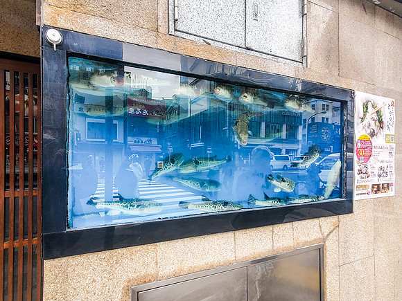 Yushima - Puffer Fish