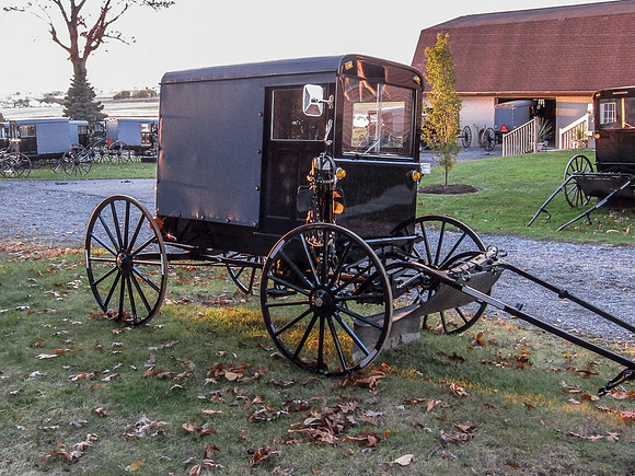 Lancaster Buggy