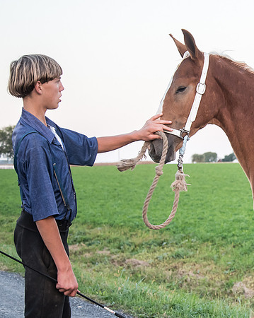 Young Horse Whisperer
