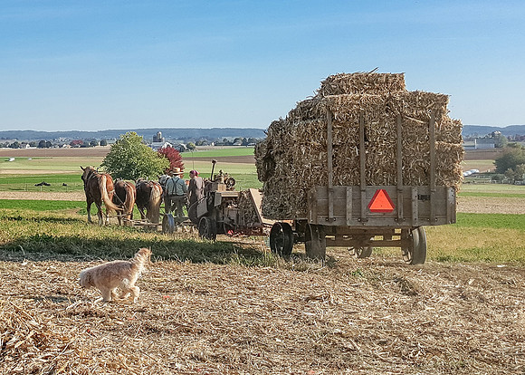 The Last Bale