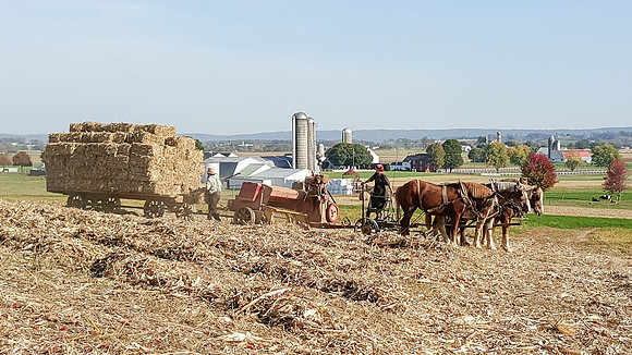 Amish Couple Baling
