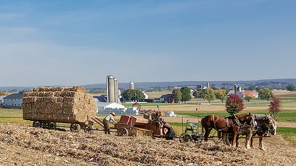 Amish Couple Baling Redux