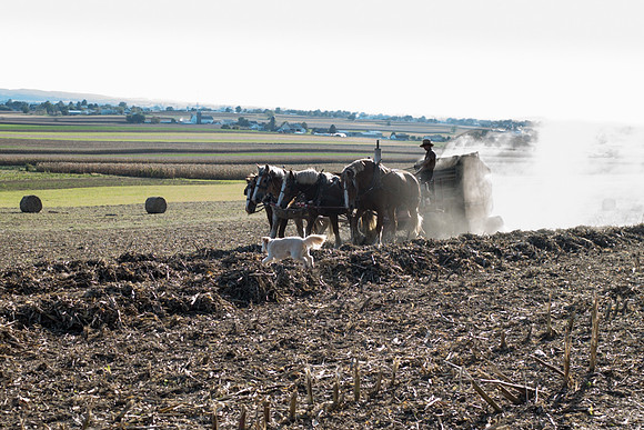 Baling Straw