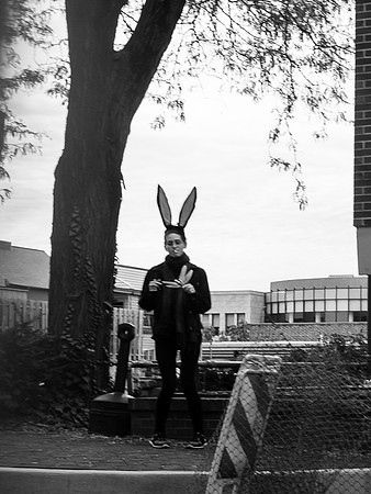 Bad Bunny