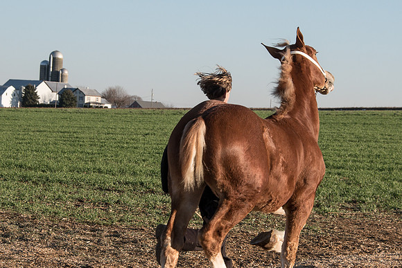 Boy & Horse II