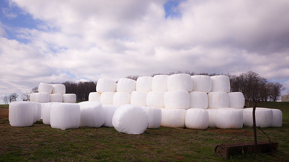 Marshmallows
