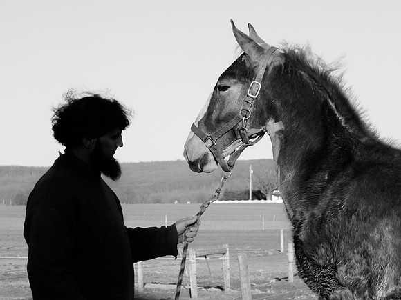 Man & Horse
