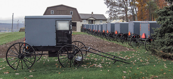 Buggies