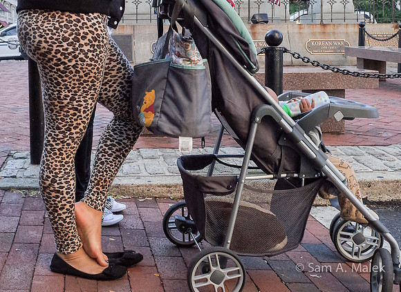 Leopard Mom