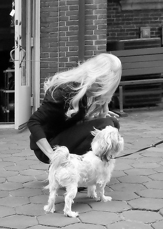 The Pet
