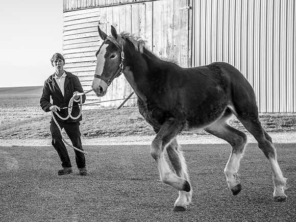 Boy & Horse