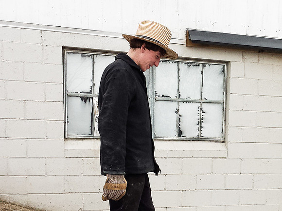 Amish Boys no. 16