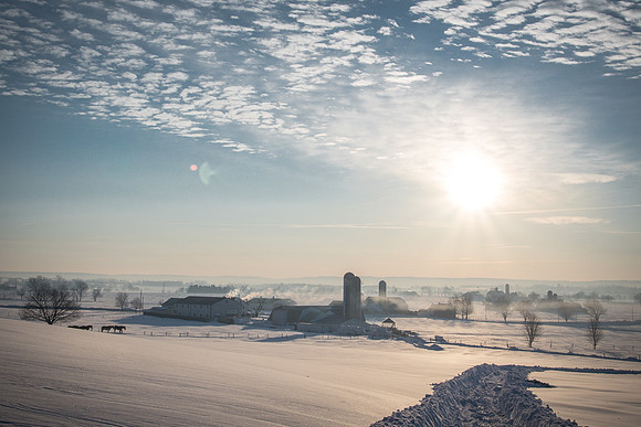 An Amish Farm in Winter