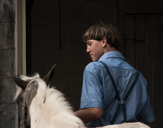 Pony Boy