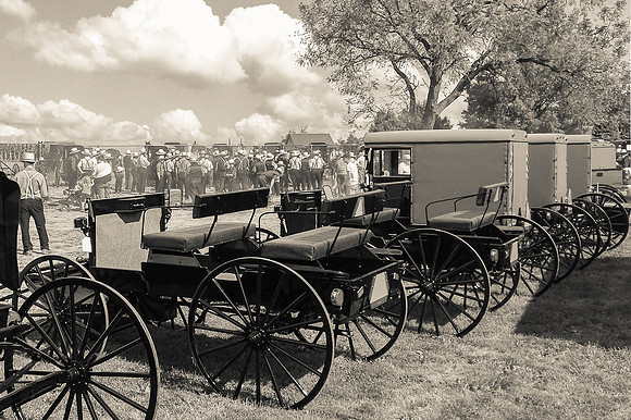 Buggy Auction