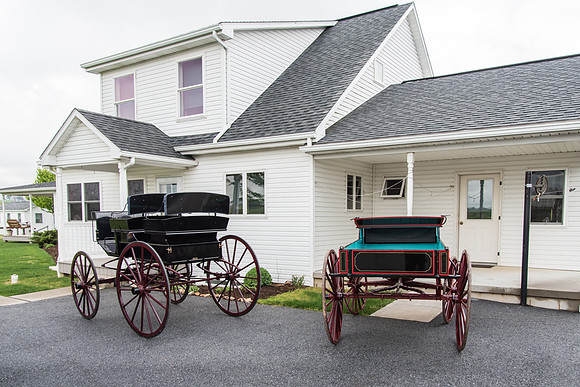 Two-Carriage Family