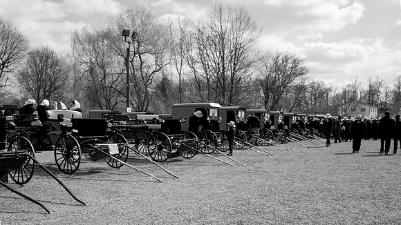 Carriage Auction