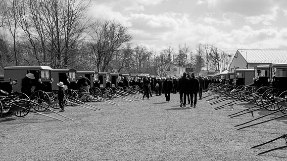 Carriage Auction II