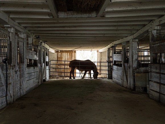 Horse Barn