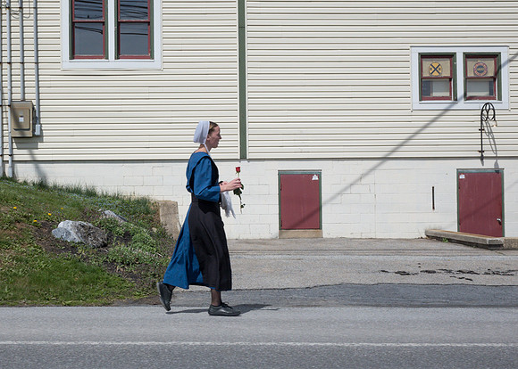 Girl Walking with a Rose