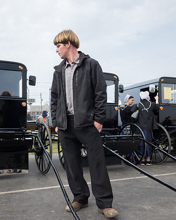 Buggy Auction