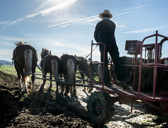 Preparing the Field