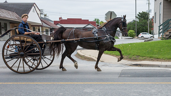 Cruisin' 1899 II
