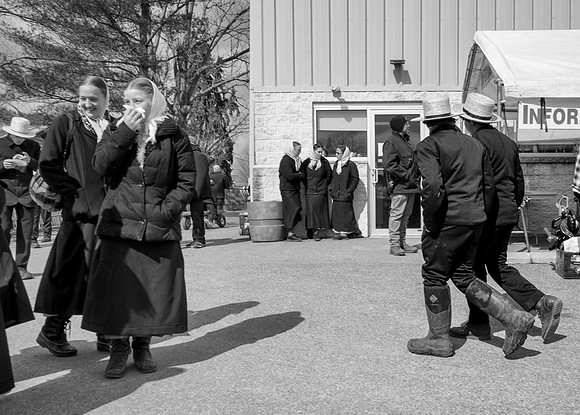 Young Amish Folk