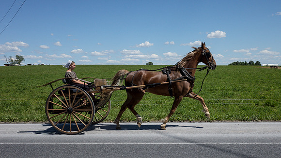 Girl and Cart