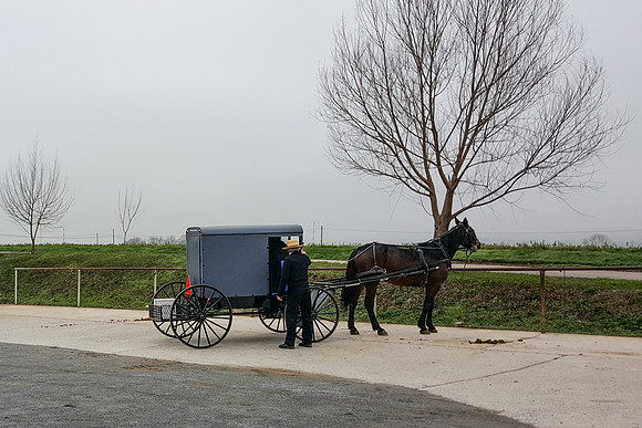 Buggy in Autumn
