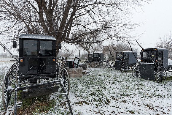 Buggy Graveyard II