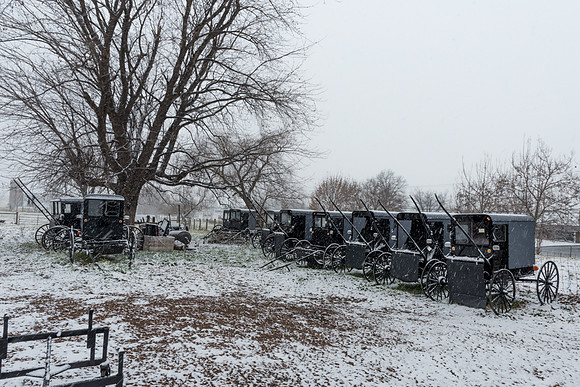 Buggy Graveyard II Redux