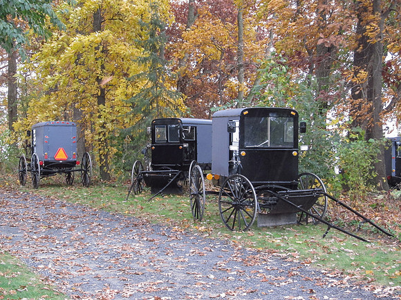 Buggies