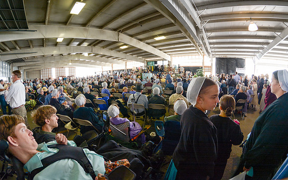 The Auction no.