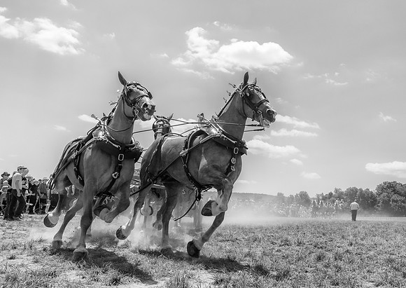 Six-Horse Hitch