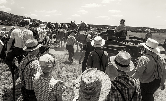 Six-Horse Hitch IV