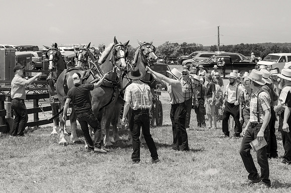 Six-Horse Hitch V