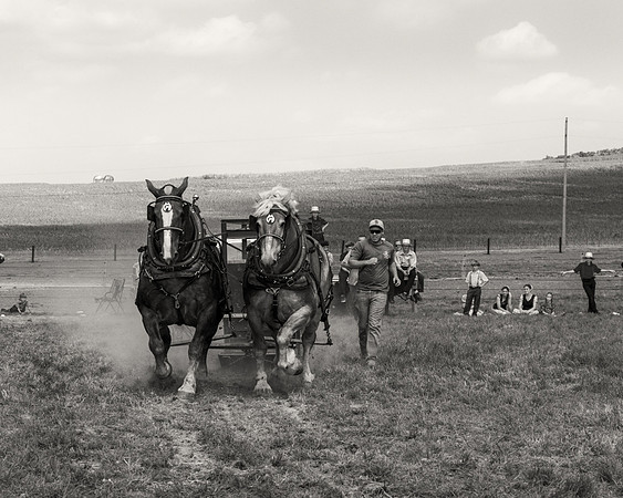 Horse Pull
