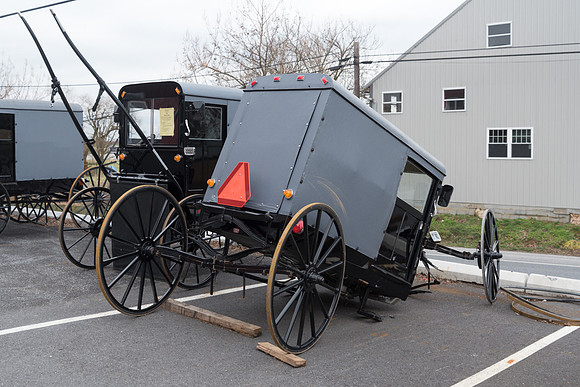Crash Buggy